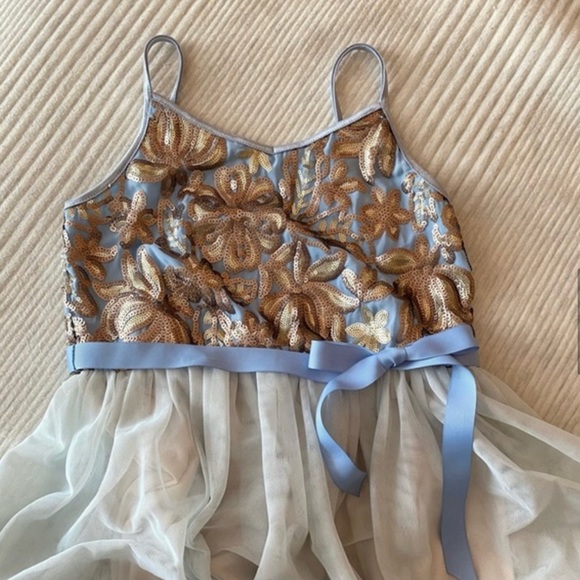 Girls Ballerina Dress in Baby Blue with Gold Sequins, double tulle skirt - Picture 8 of 15